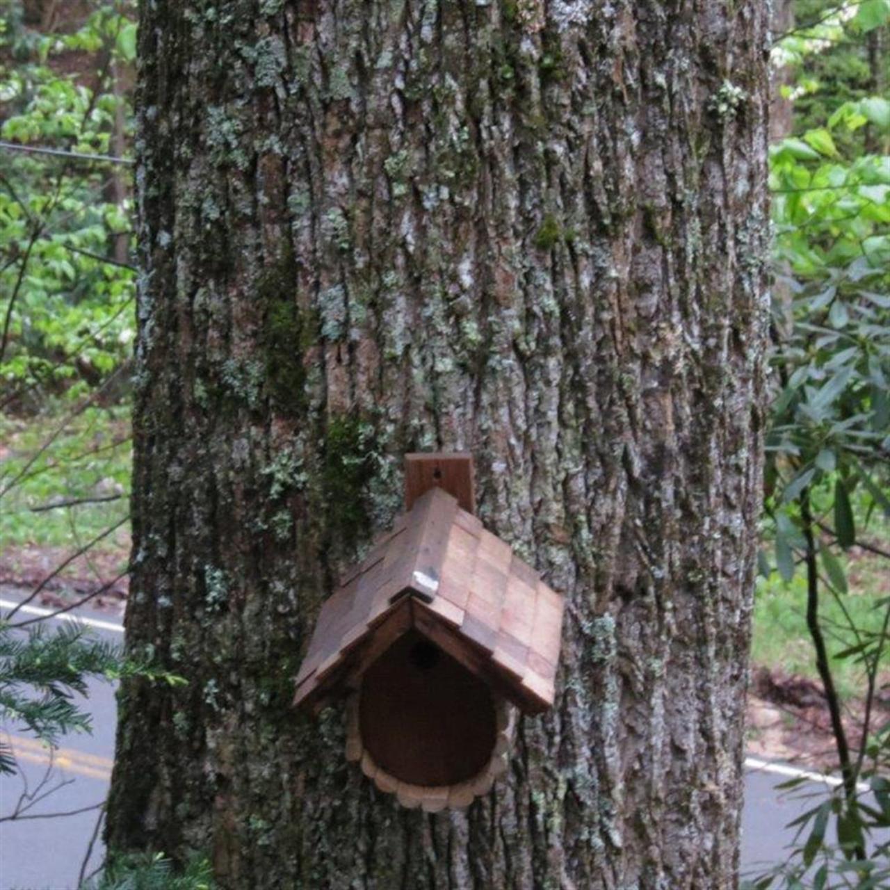 Buckberry Creek Chalet Gatlinburg Exterior photo