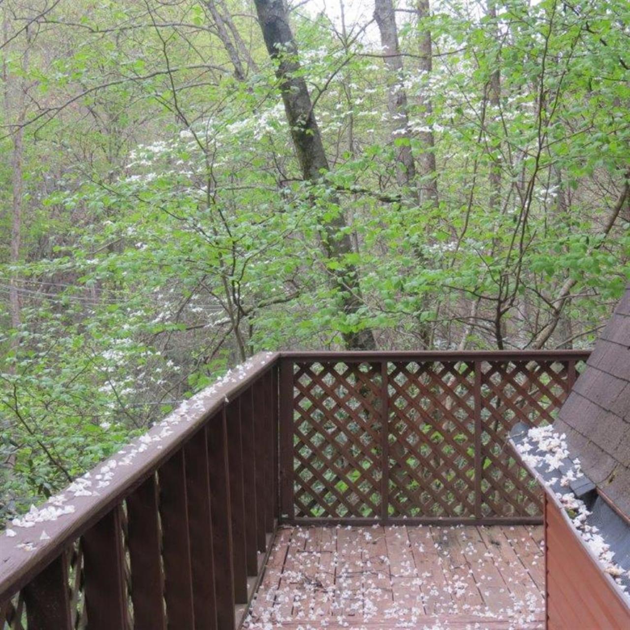 Buckberry Creek Chalet Gatlinburg Exterior photo